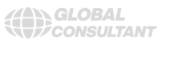 Global Consultant